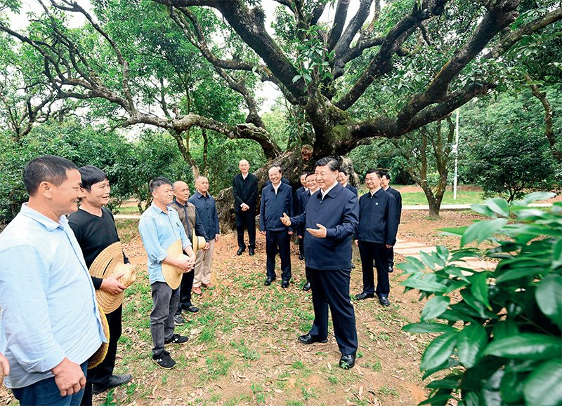 2023年4月10日至13日，中共中央總書記、國家主席、中央軍委主席習近平在廣東考察。這是11日下午，習近平在茂名高州市根子鎮(zhèn)柏橋村荔枝種植園，同現(xiàn)場技術(shù)人員親切交流。