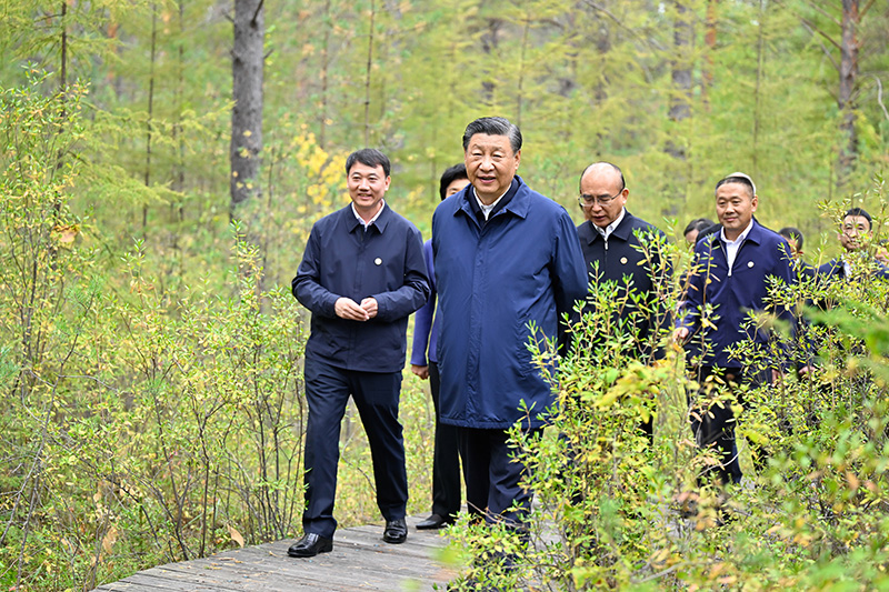 9月6日至8日，中共中央總書記、國家主席、中央軍委主席習(xí)近平在黑龍江考察。這是6日下午，習(xí)近平在大興安嶺地區(qū)漠河市漠河林場自然林區(qū)考察